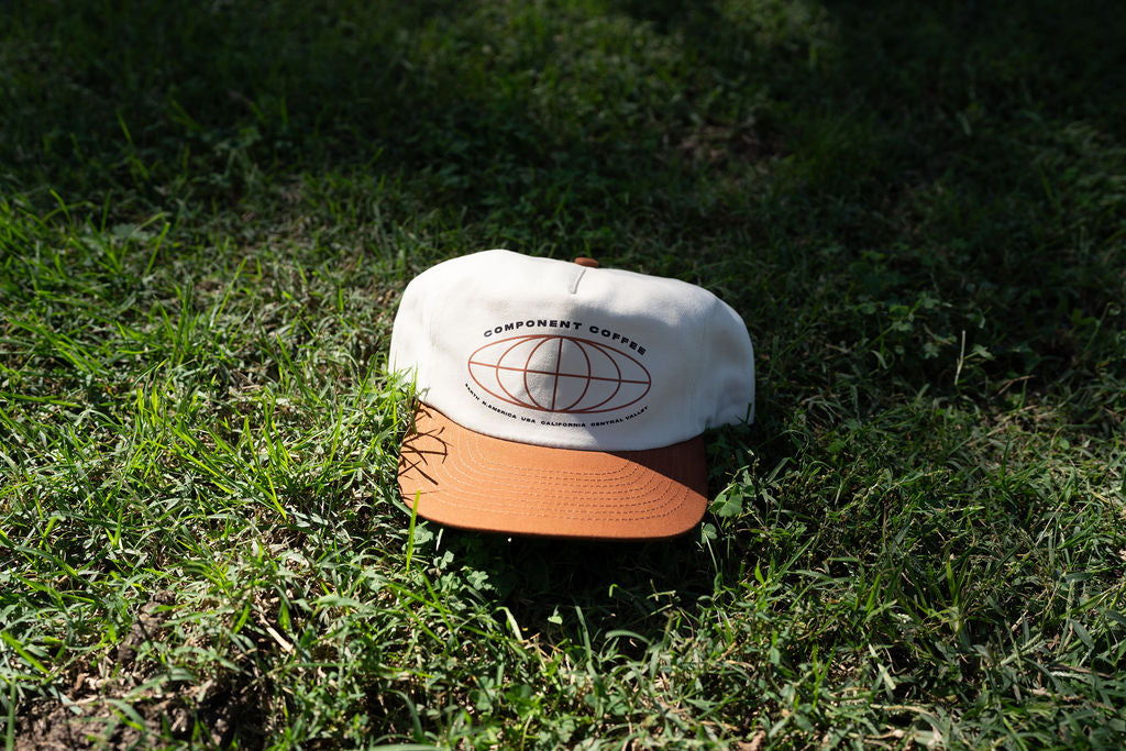 2-Tone Globe Snapback