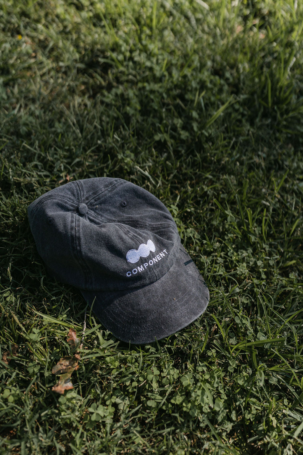 Dad Hat