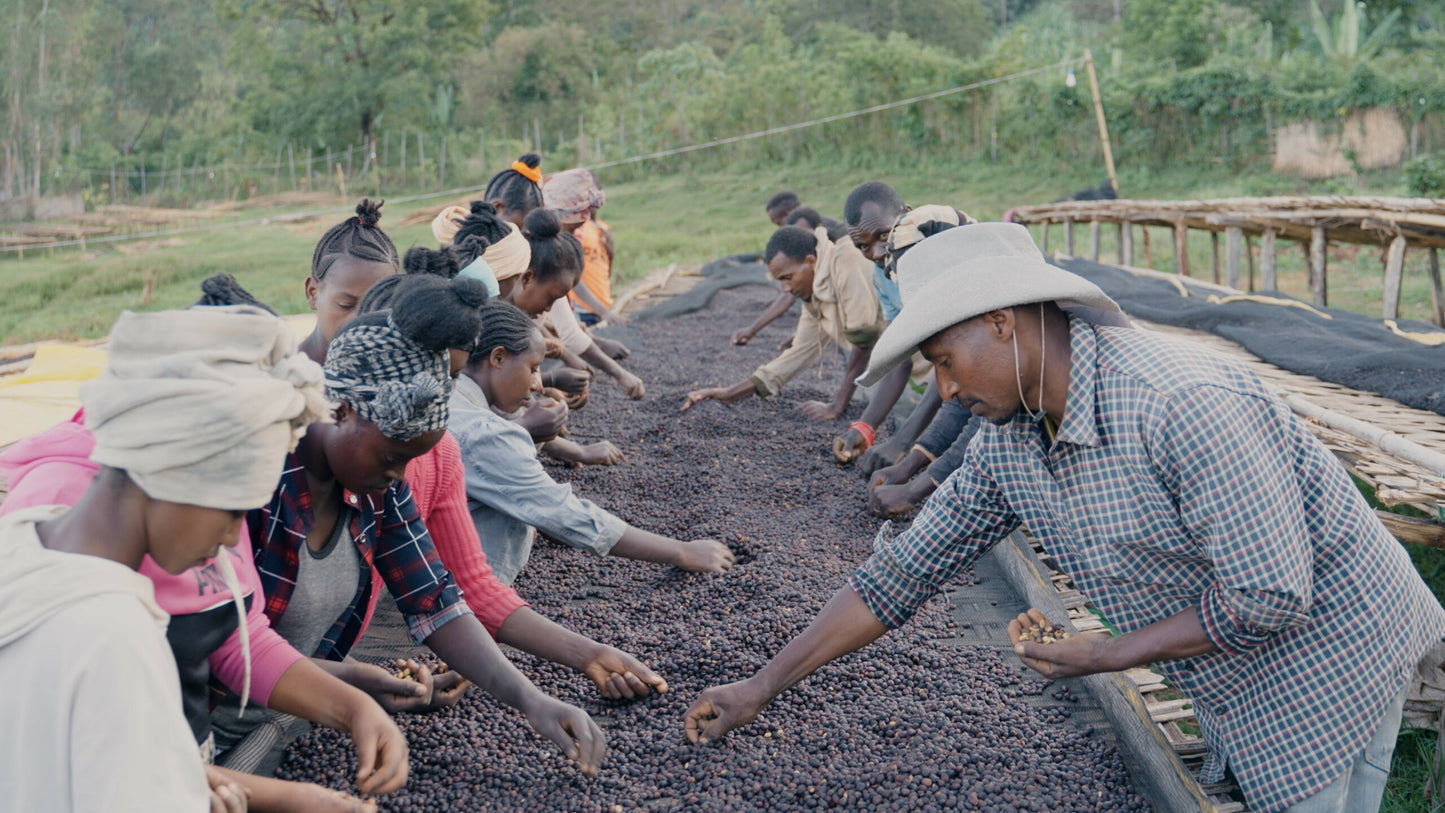 Ethiopia Natural - Guji Tebe Melge